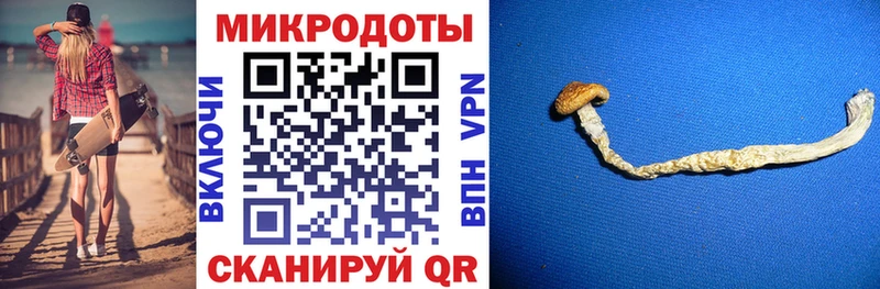 Псилоцибиновые грибы прущие грибы  гидра вход  Торжок 